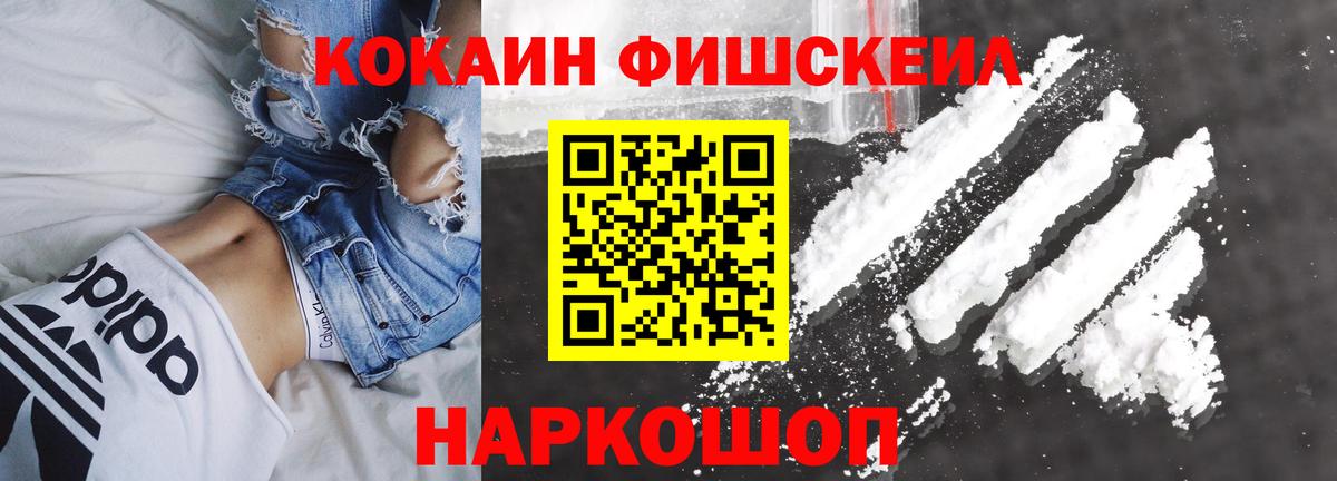Cocaine Fish Scale  КОКАИН Columbia  Егорьевск  Вход с VPN 
