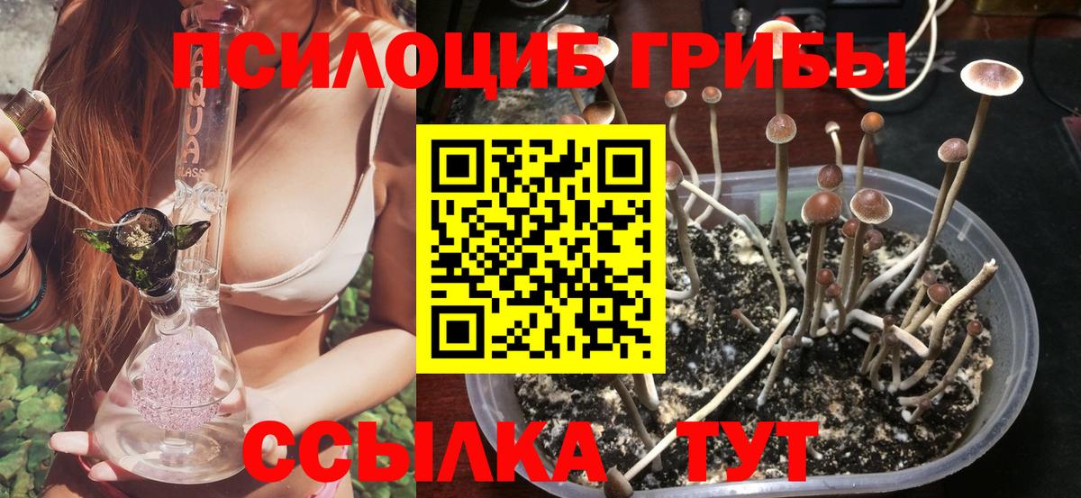 Галлюциногенные грибы мицелий  Псилоцибиновые грибы Magic Shrooms  Егорьевск  Вход с VPN 