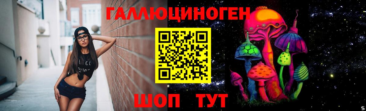 Псилоцибиновые грибы Psilocybe Егорьевск